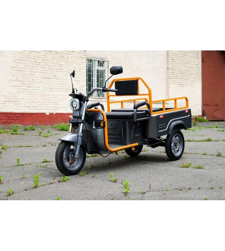 Грузовой трицикл AVM Cargo mini 800