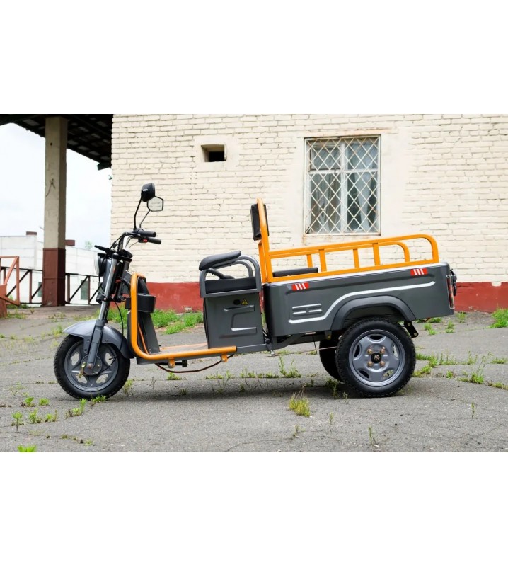 Грузовой трицикл AVM Cargo mini 800