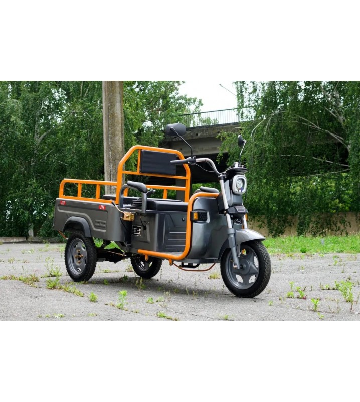 Грузовой трицикл AVM Cargo mini 800