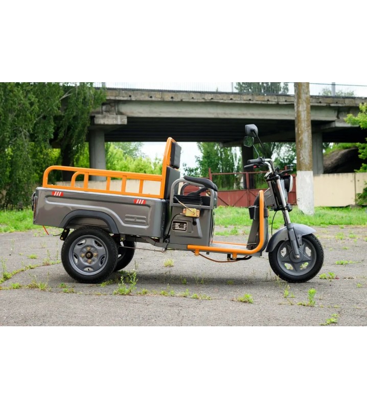 Грузовой трицикл AVM Cargo mini 800