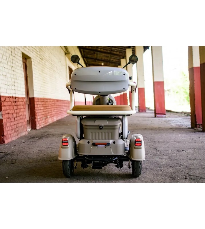 Пассажирский трицикл AVM City 650