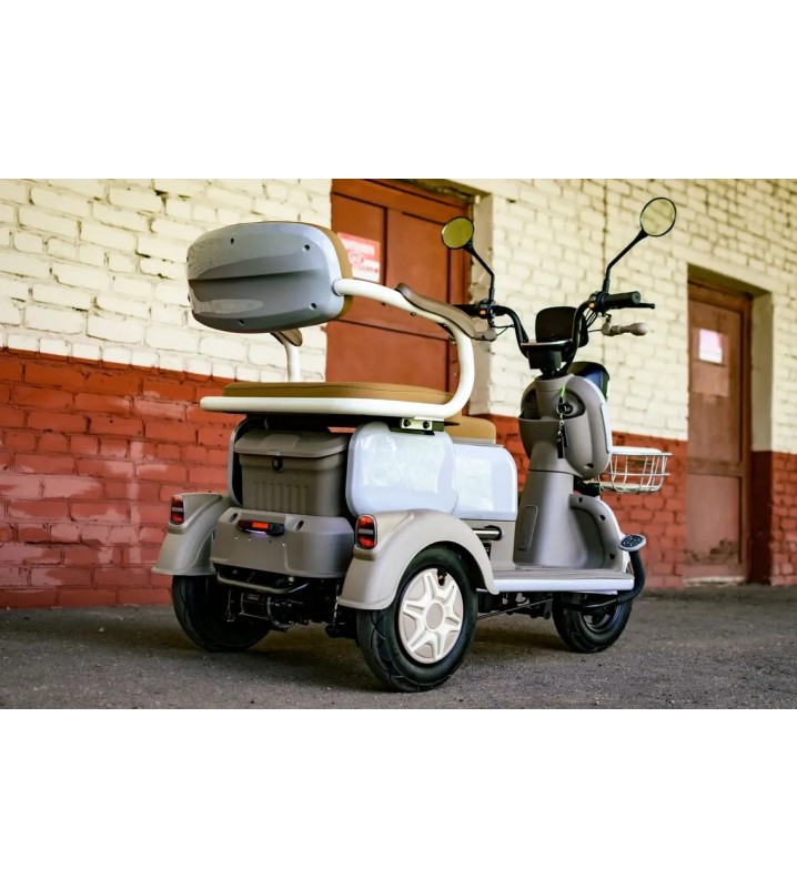 Пассажирский трицикл AVM City 650