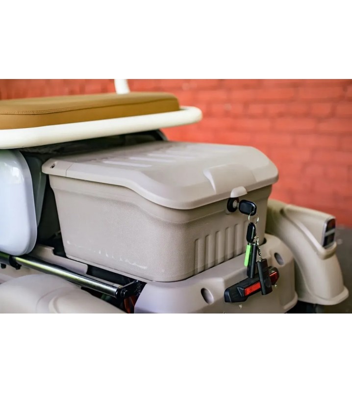 Пассажирский трицикл AVM City 650