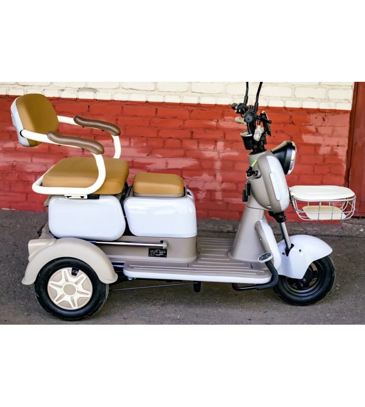 Пассажирский трицикл AVM City 650