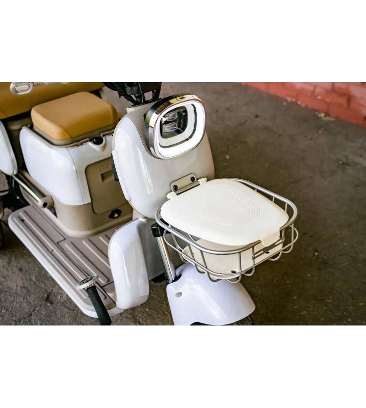 Пассажирский трицикл AVM City 650