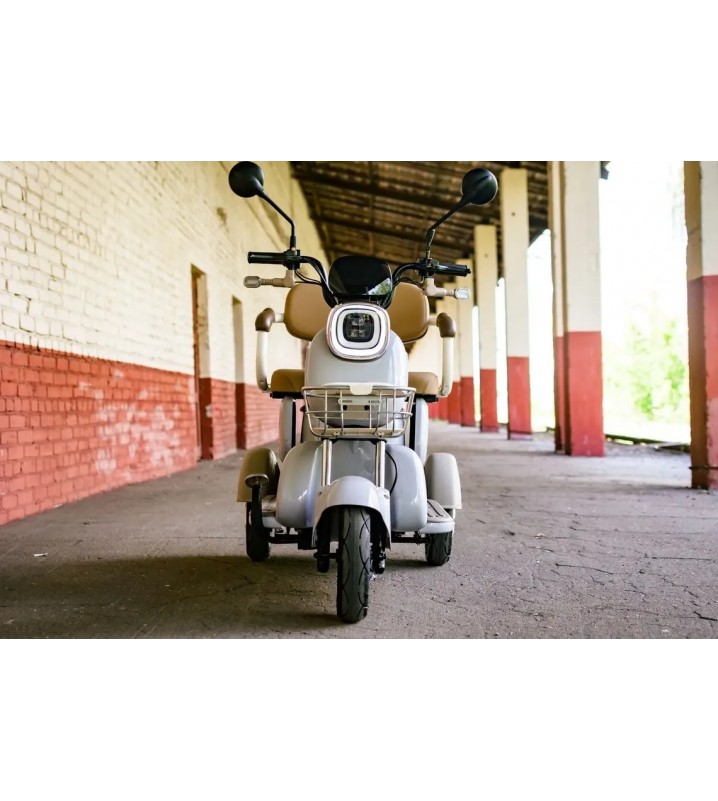 Пассажирский трицикл AVM City 650