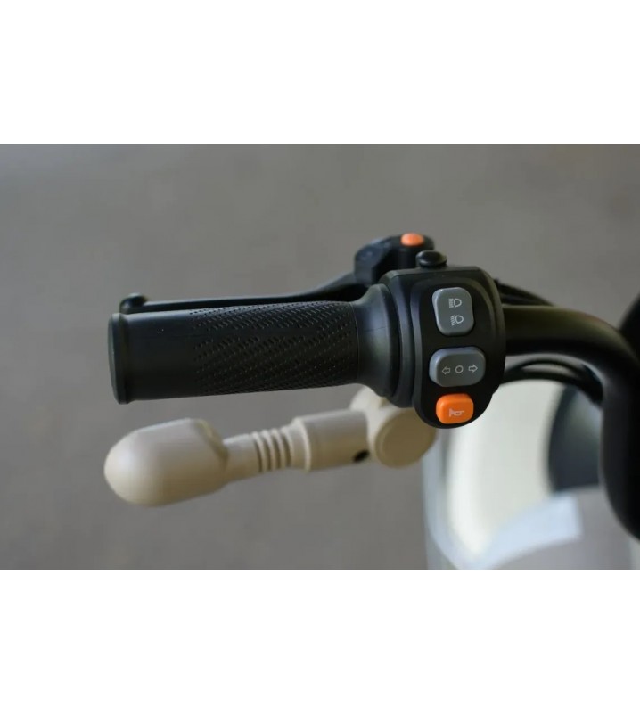 Пассажирский трицикл AVM City 650