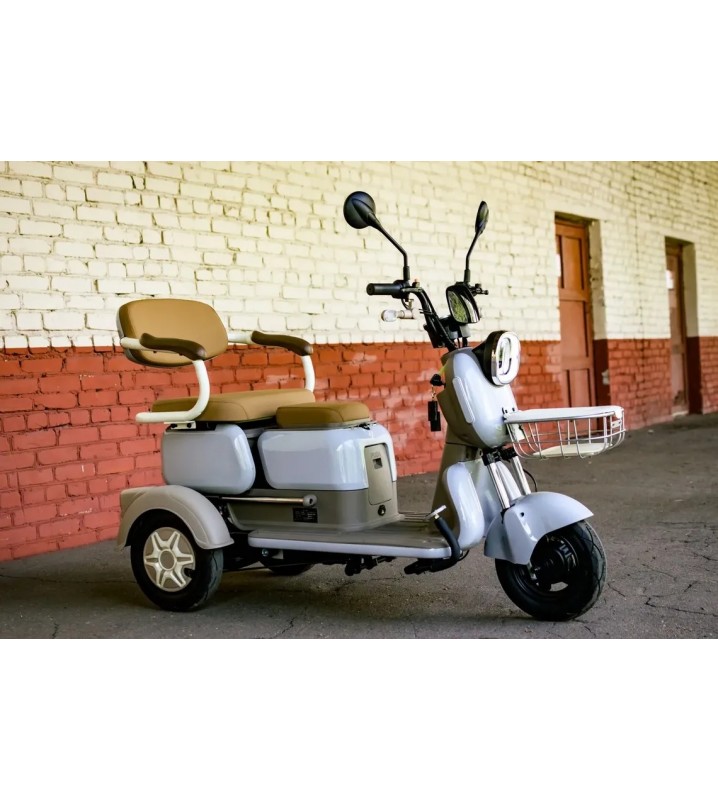 Пассажирский трицикл AVM City 650