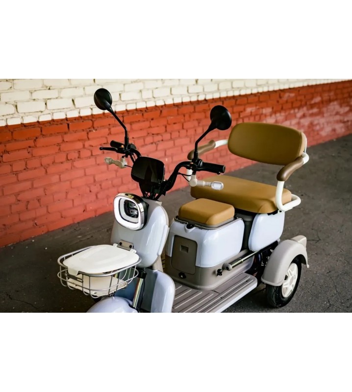 Пассажирский трицикл AVM City 650