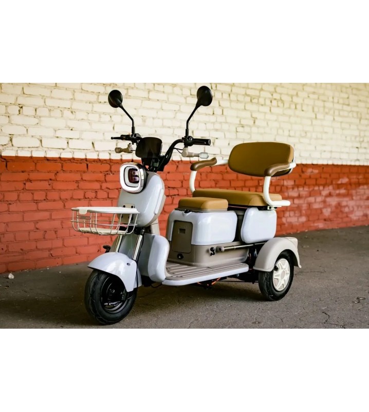 Пассажирский трицикл AVM City 650