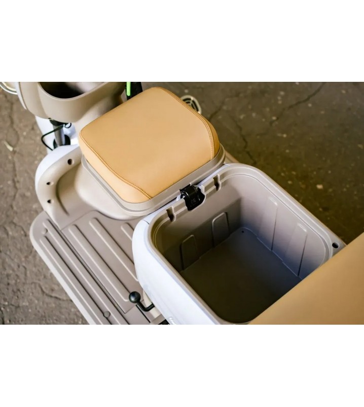 Пассажирский трицикл AVM City 650