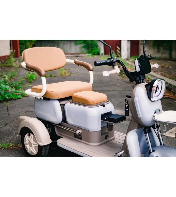 Пассажирский трицикл AVM City 650