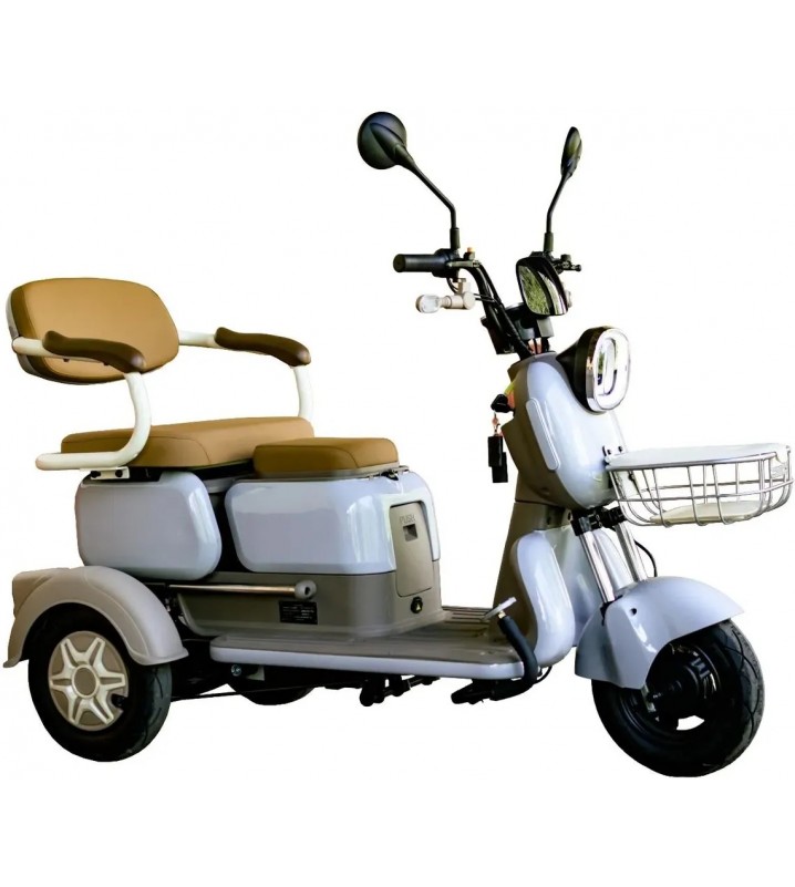 Пассажирский трицикл AVM City 650