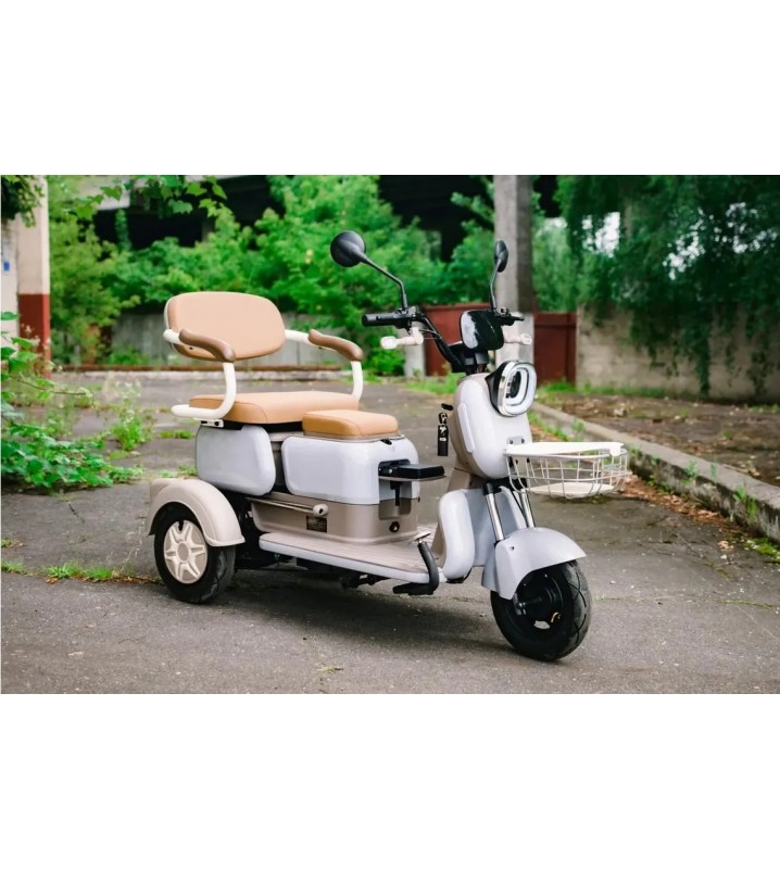 Пассажирский трицикл AVM City 650