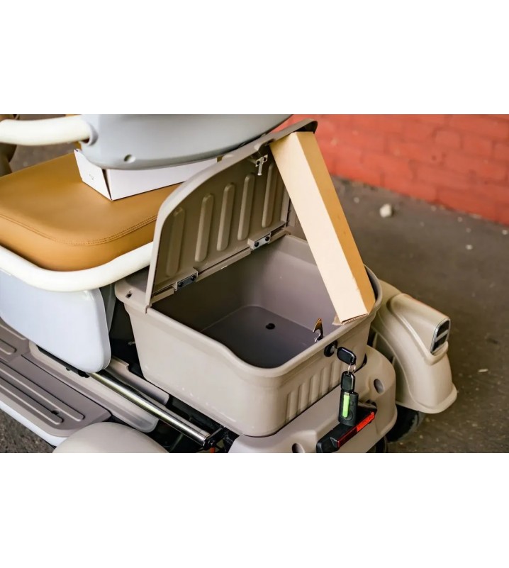 Пассажирский трицикл AVM City 650