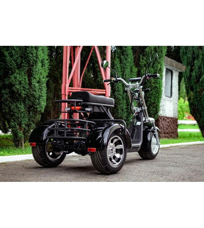 Электротрицикл AVM CityCoco Axel 2000