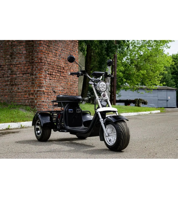 Электротрицикл AVM CityCoco Axel 2000