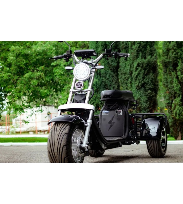 Электротрицикл AVM CityCoco Axel 2000