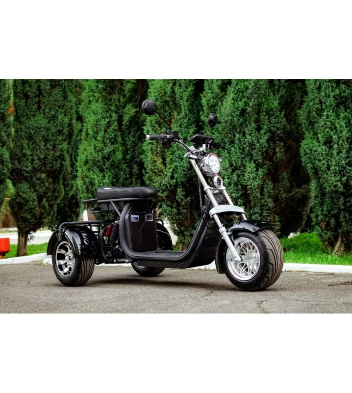 Электротрицикл AVM CityCoco Axel 2000