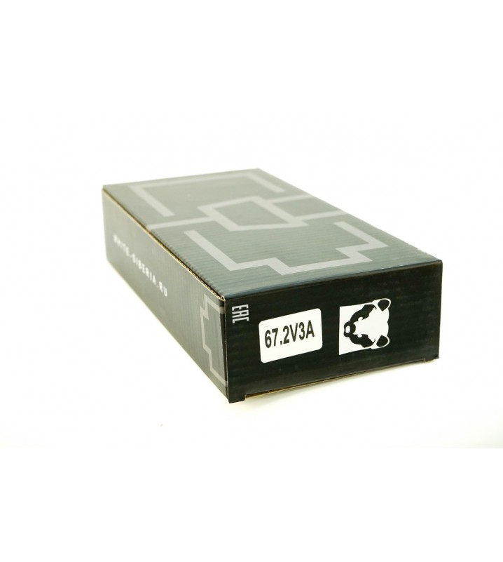 FAST CHARGER 60V3A зарядное устройство для литий-ионных аккумуляторов