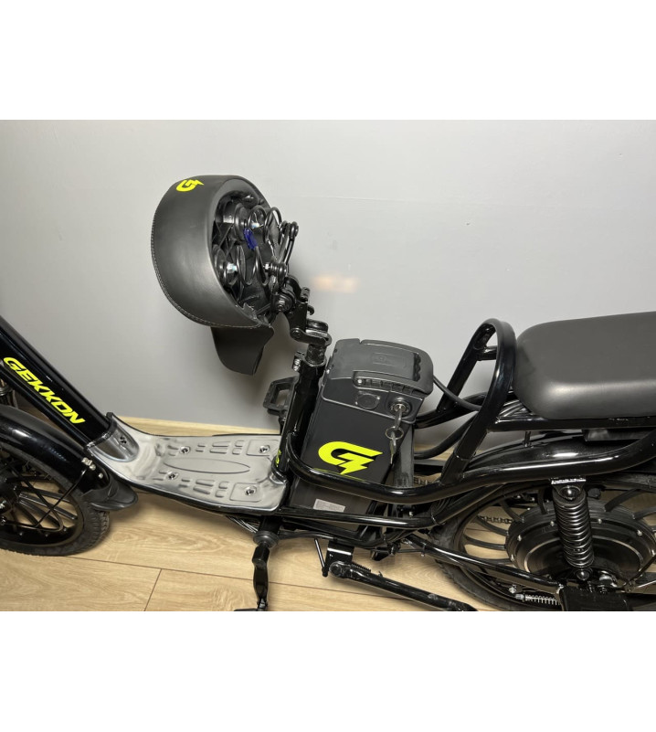 Gekkon V6 10ah