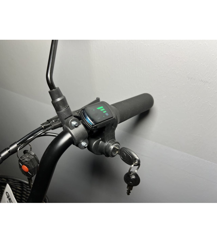 Gekkon V6 10ah