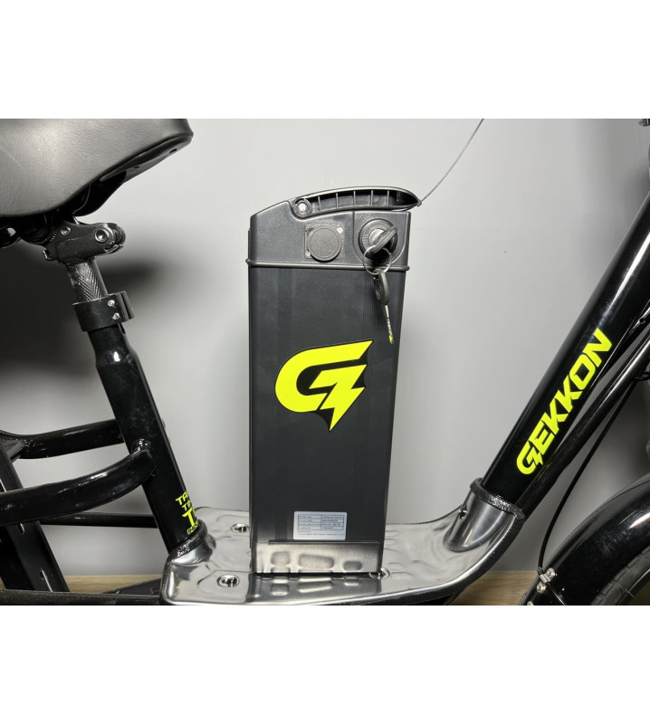 Gekkon V6 10ah