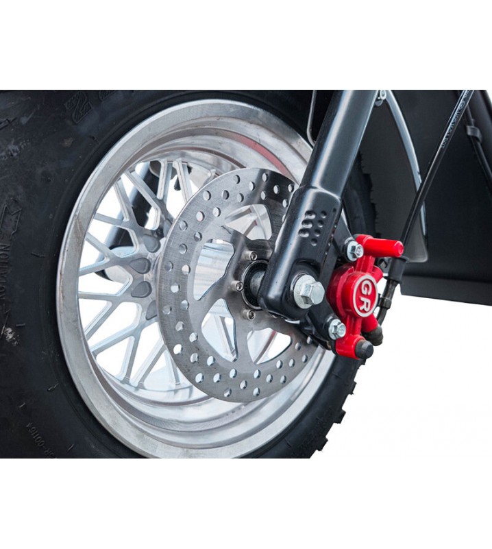 Smart8 Bulbash X12 Trike