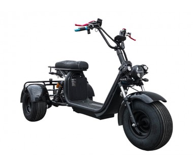 Smart8 Bulbash X9 Trike