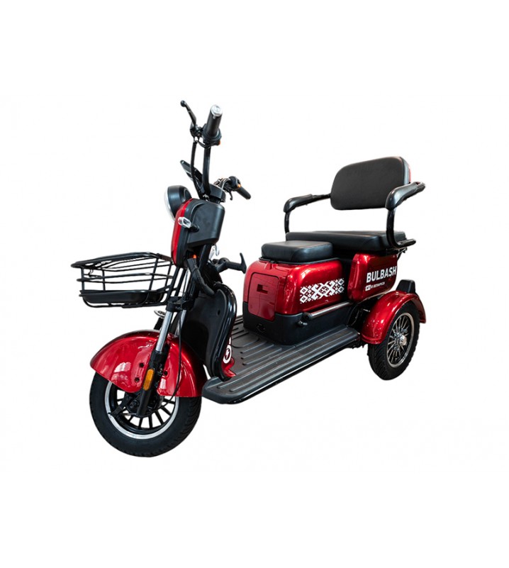 Smart8 Bulbash