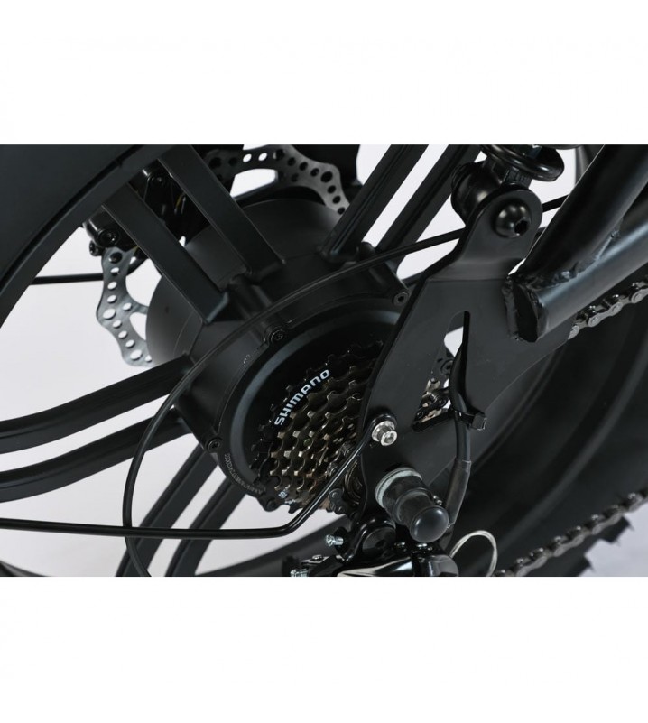 SmartBalance Diplomat (2025)