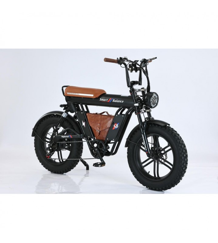 SmartBalance Diplomat (2025)