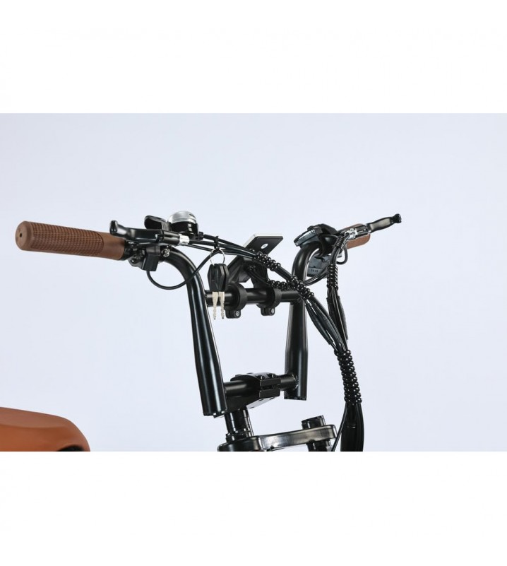 SmartBalance Diplomat (2025)