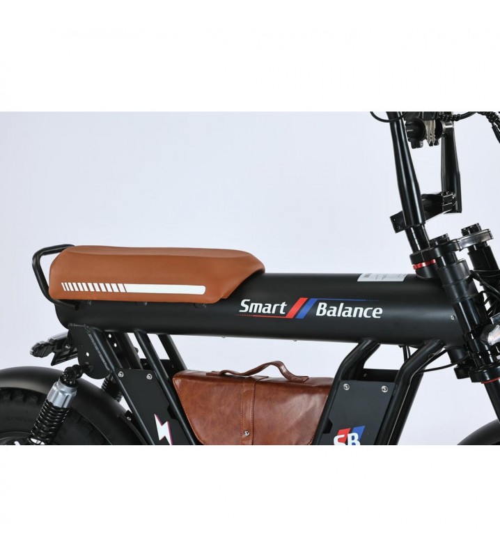 SmartBalance Diplomat (2025)