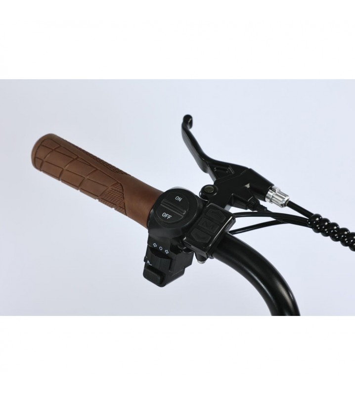 SmartBalance Diplomat (2025)