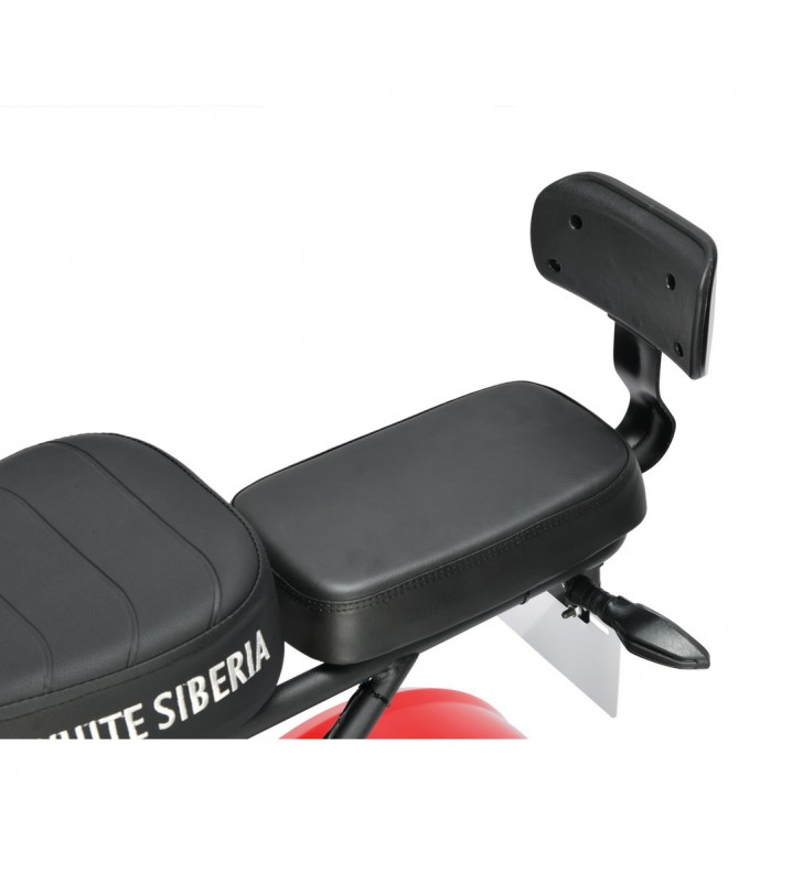 Электроскутер White Siberia MINI R 3.0